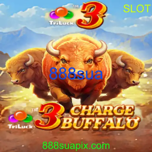 3ChargeBuffalo